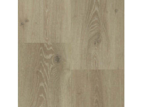Chamonix Rigid Click XL Plank 55804