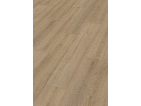 Design Rigid RD300S Eik Lakeshore 7387