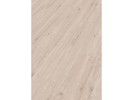 Design Rigid RD300S Eik Arctica 7394
