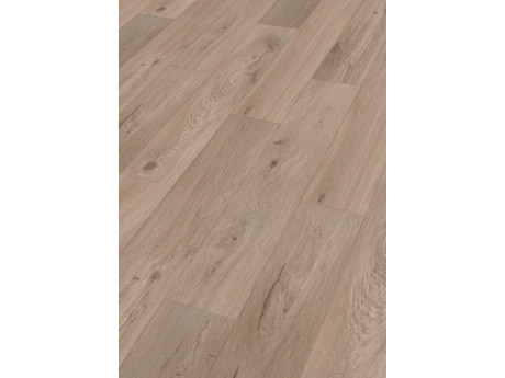 Design Rigid RD300S Eik Westwood 7396