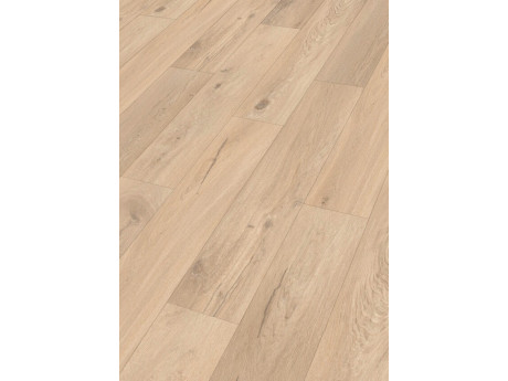 Design Rigid RD300S Eik Hampstead 7397