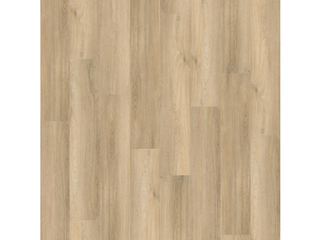Avanto Click SRC Beige
