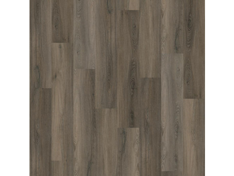 Avanto Click SRC Dark Grey