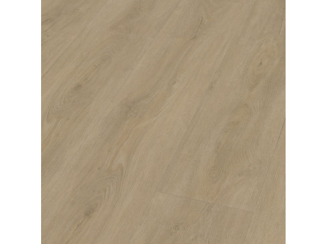 Robusto Click SRC Beige