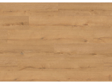 Floer Bossen Noordlaarderbos Natuur Eiken Plak PVC