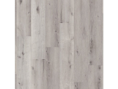 Essenzo SRC Light Grey