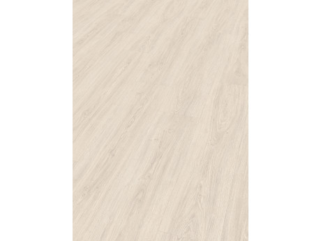 Egger Lion 2026 Gamble Oak White