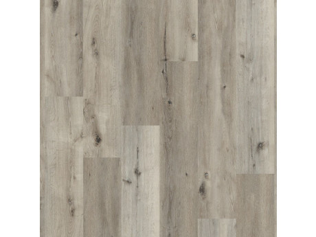 Essenzo SRC Smoky