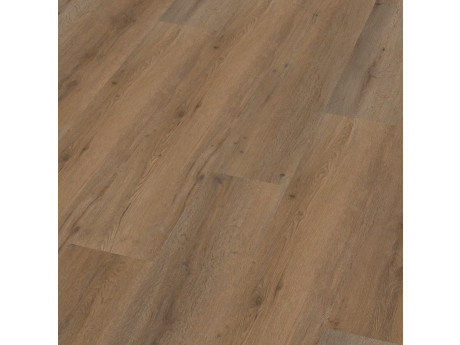 Vivero Click SRC Smoky