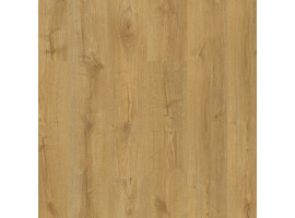 Quick Step Flex Glue Plus Fuse Fall Oak Natural