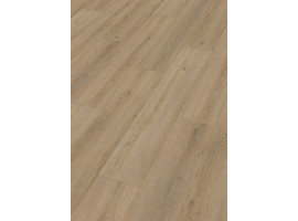 Design Rigid RD300S Eik Lakeshore 7387