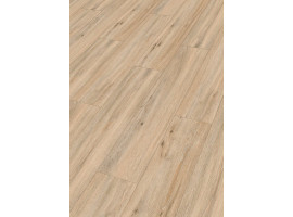 Design Rigid RD300S Eik Outback 7393