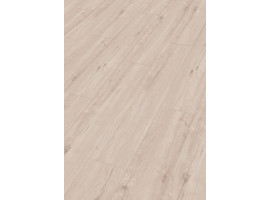 Design Rigid RD300S Eik Arctica 7394