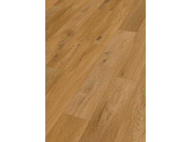 Design Rigid RD300S Eik Fleetwood 7399