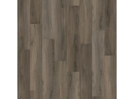 Avanto Click SRC Dark Grey