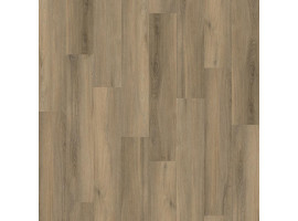 Avanto Click SRC Smoky