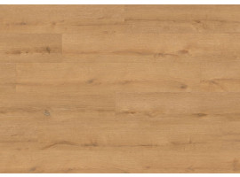 Floer Bossen Noordlaarderbos Natuur Eiken Plak PVC