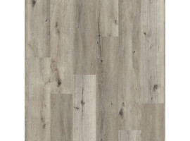 Essenzo SRC Smoky