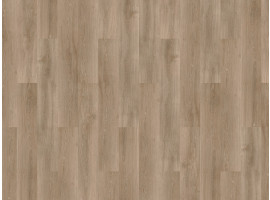 Solcora Silence River Oak Douro 56025