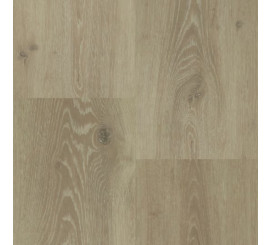 Chamonix Rigid Click XL Plank 55804