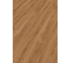 Design Rigid RD300S Eik Indian Summer 7328