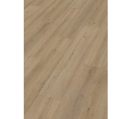 Design Rigid RD300S Eik Lakeshore 7387