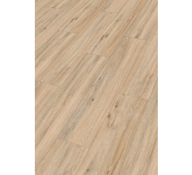 Design Rigid RD300S Eik Outback 7393