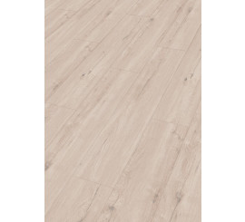 Design Rigid RD300S Eik Arctica 7394