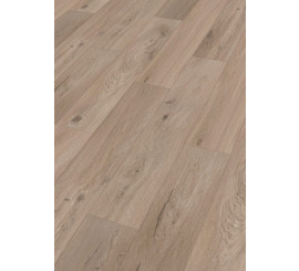 Design Rigid RD300S Eik Westwood 7396