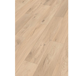 Design Rigid RD300S Eik Hampstead 7397