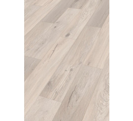 Design Rigid RD300S Eik Whitebury 7398