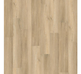 Avanto Click SRC Beige
