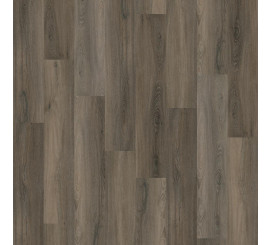 Avanto Click SRC Dark Grey