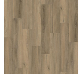 Avanto Click SRC Smoky