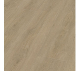 Robusto Click SRC Beige
