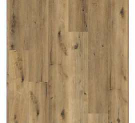 Essenzo SRC Dark Oak
