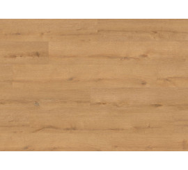 Floer Bossen Noordlaarderbos Natuur Eiken Plak PVC