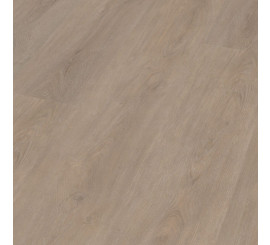 Robusto Click SRC Light Oak