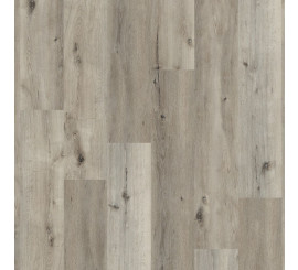 Essenzo SRC Smoky