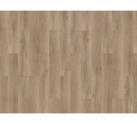 Solcora Silence River Oak Douro 56025