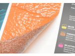 Co-pro Orange-line